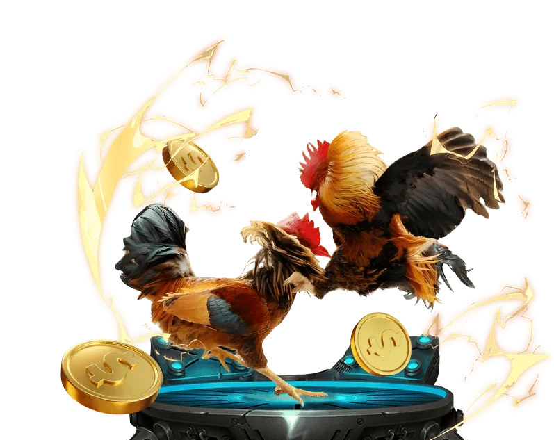 Cờ bạc có trách nhiệm NEW88 HÔM NAY